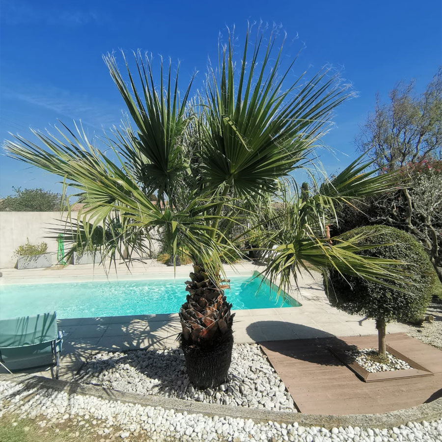 Entretien et équipements piscine, spa, sauna